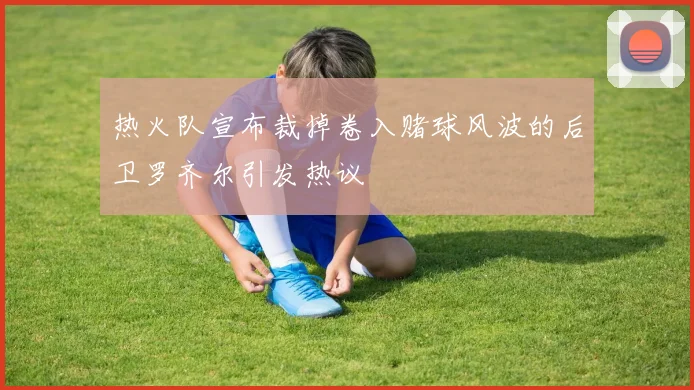 热火队宣布裁掉卷入赌球风波的后卫罗齐尔引发热议